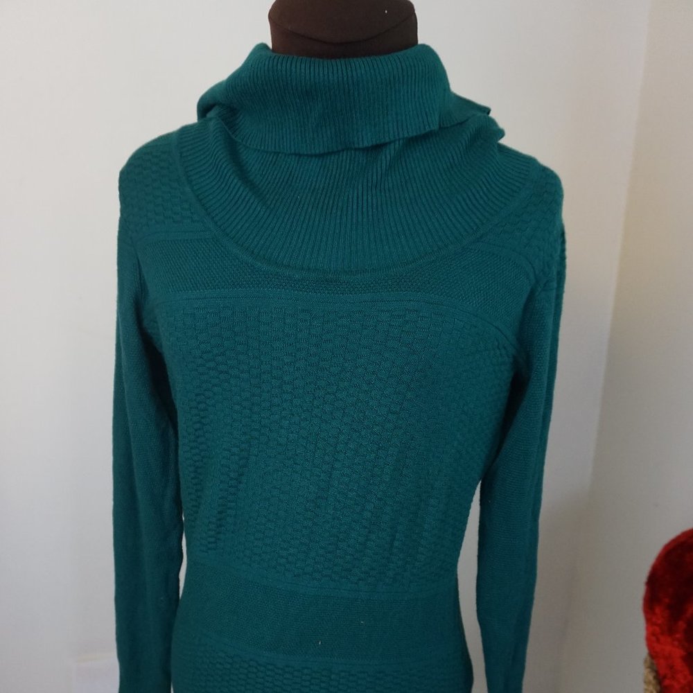 The Limited Turtle Neck Small